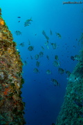 20250818 CapEstel 37