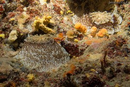 20250818 CapEstel 9