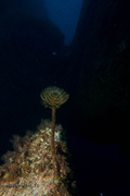 20250914 Agay 00070